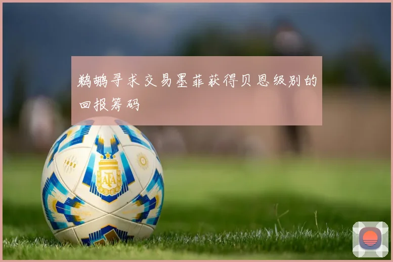 鹈鹕寻求交易墨菲获得贝恩级别的回报筹码