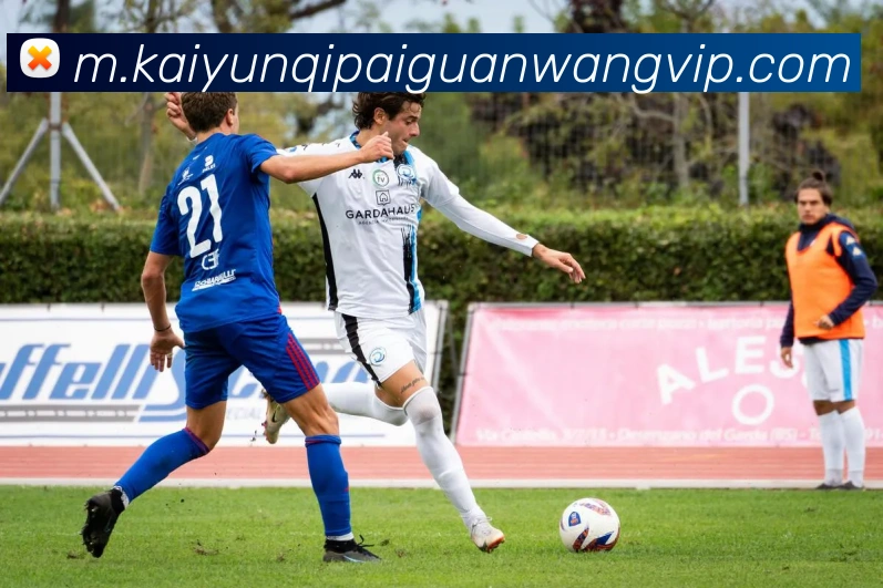 App Interface Preview