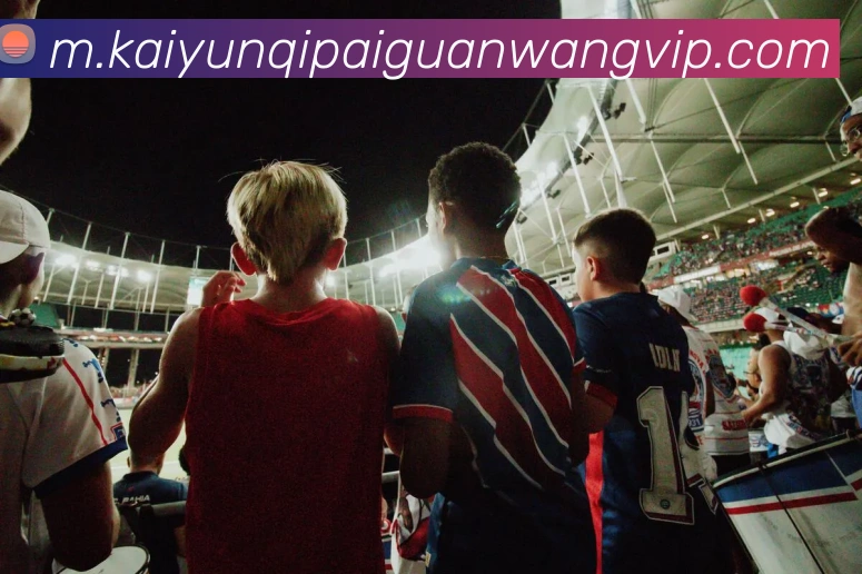 开云棋牌APP 封面图